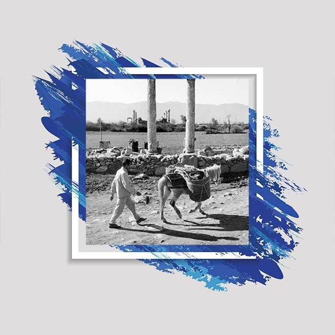 Ara Güler – Aphrodisias