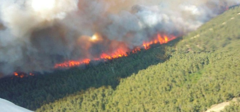 FOREST FIRE ERUPTS IN NORTHWESTERN TURKEY
