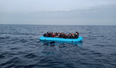 Türkiye rescues 73 irregular migrants after illegal Greek pushback in Aegean Sea