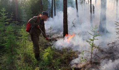 Over 100 Russian villages engulfed by smoke as forest fires spread