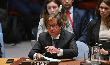 UN Security Council 'needs to do more' for Gaza, says French envoy
