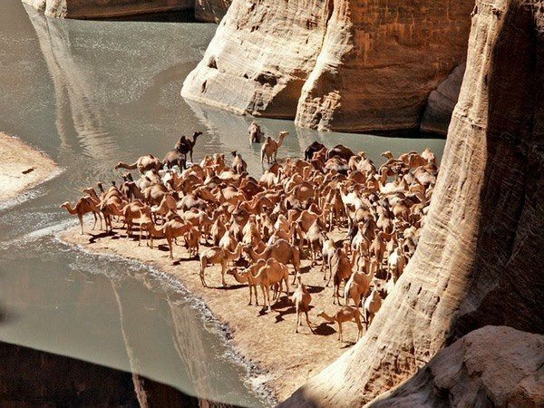 Sahra Çöl’ündeki ilginç sır