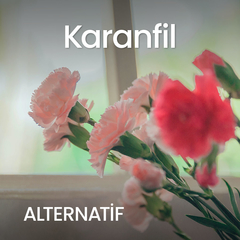 Karanfil