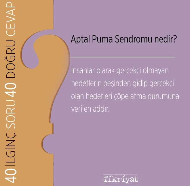 Aptal Puma Sendromu nedir?