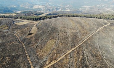 Forest fires in Çanakkale, area the size of 3,500 football fields burns