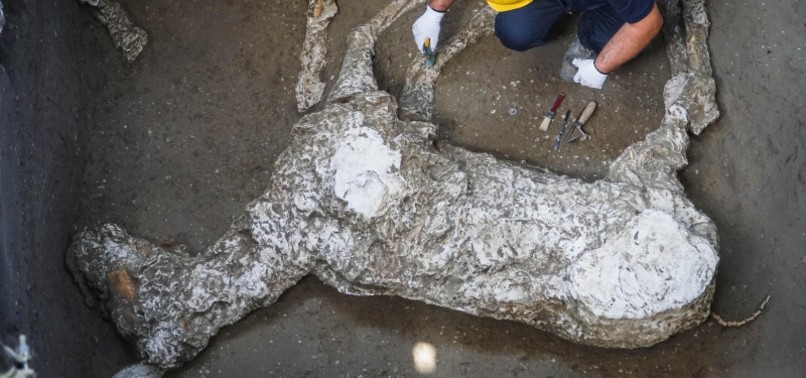 COMPLETE REMAINS OF RACEHORSE UNEARTHED IN POMPEII EXCAVATION