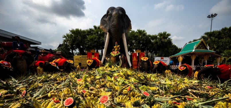 THAILAND LAYS OUT BUFFET FOR ELEPHANTS IN NATIONAL CELEBRATION