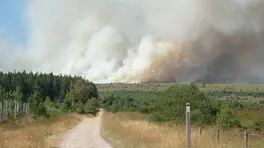 Belçika’da tarihin en büyük orman yangını