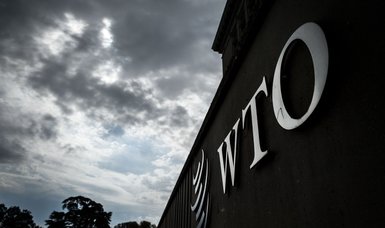WTO says global trade to recover in H2 amid high uncertainty
