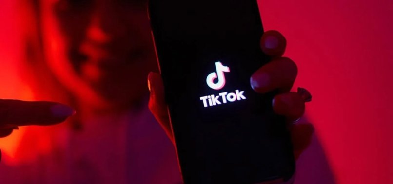 STUDENTS TURN TO TIKTOK TO FILL GAPS IN SCHOOL LESSONS