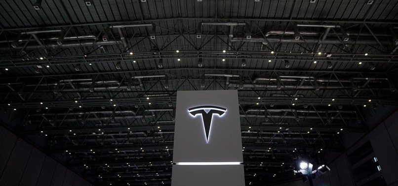 TESLA NAMES BOARD DIRECTOR TO REPLACE MUSK