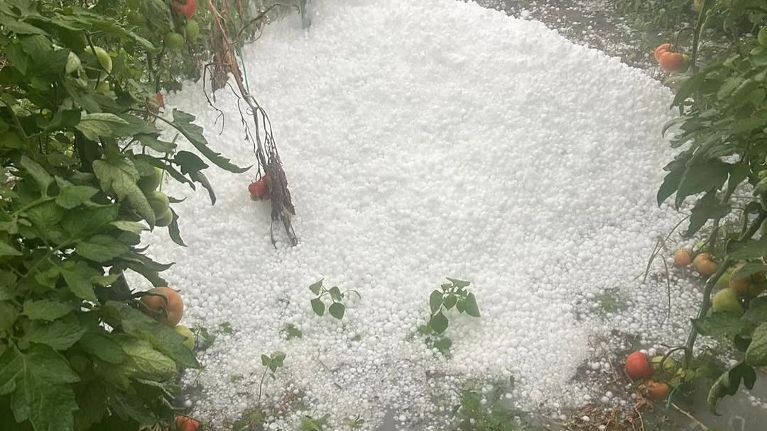 ANTALYA’YI DOLU VURDU