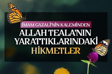 İmam Gazali’nin kaleminden Allah Teala’nın yarattıklarındaki hikmetler