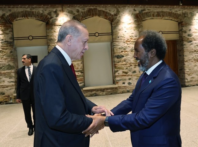 Turkish president meets his Somali counterpart in Istanbul