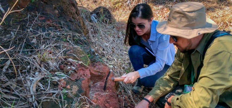 DESERT-BASED DINOSAUR DISCOVERED IN BRAZIL