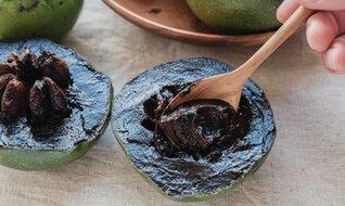 Çikolata meyvesi yetiştirin!