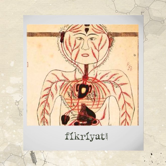 BATILI HEKİMLER 300 YIL SONRA KEŞFETTİ