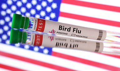 Bird flu shows world not ready for future pandemics: report