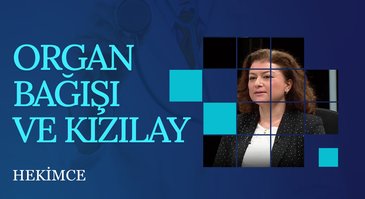 Organ Bağışı ve Kızılay | Hekimce