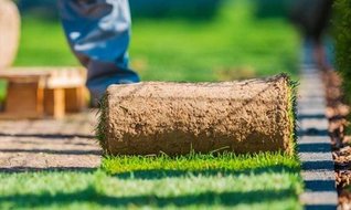 Rulo çim pazarı patladı