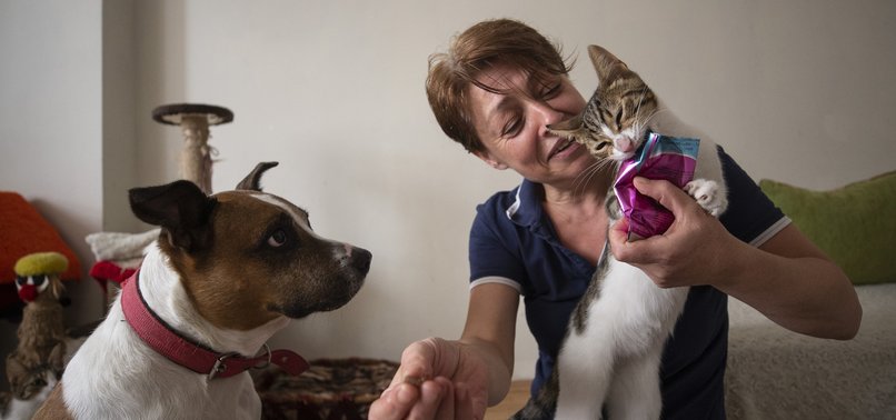 ‘MOTHER OF FELINES’ SHELTERS 50 PETS