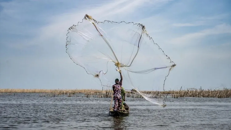 Drone captures Benins water village, Ganvie, thriving like Africas Venice