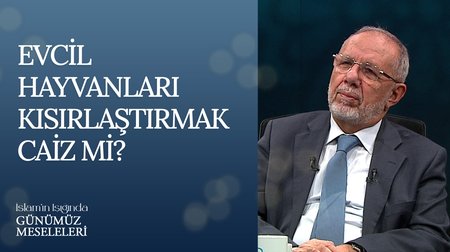 Evcil hayvanları kısırlaştırmak caiz mi?