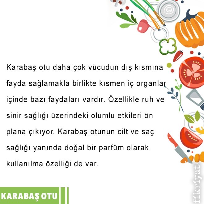 KARABAŞ OTUNUN FAYDALARI NELERDİR?