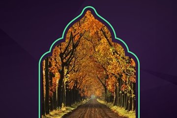 Mihrican mı değdi gülün mü soldu