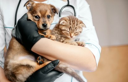 ahrefindexkalyonholdingclasstkktLnktargetblankKalyonHoldingasokaklarınsessizkahramanlarınıunutmadı