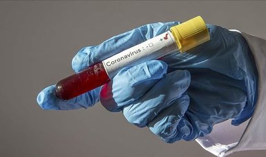 Coronavirus variant infections increasing in countries, including Canada, U.S.