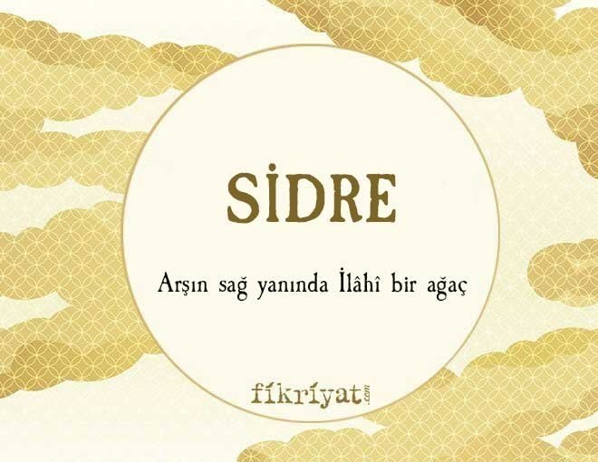 SİDRE