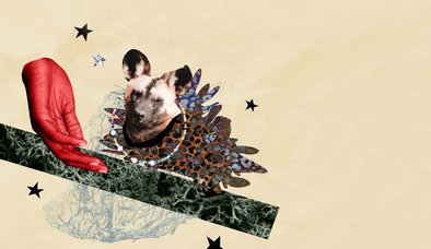 HANEDANLIĞIN YENİ BİÇİMLERİ