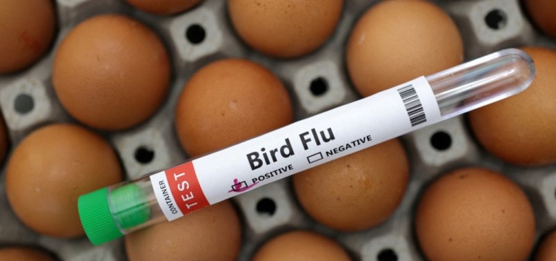 BIRD FLU ALARM DRIVES WORLD TOWARDS ONCE-SHUNNED VACCINES