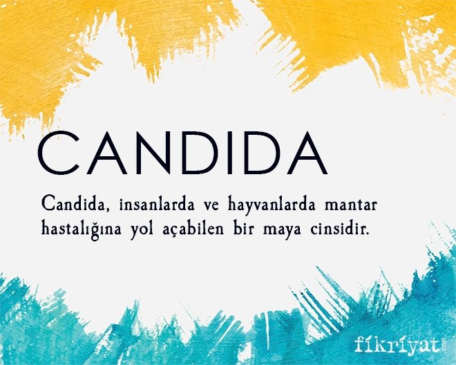 CANDIDA
