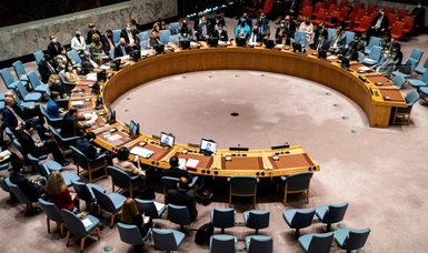 UN Security Council postpones vote to demand aid access for Gaza