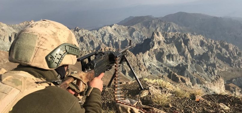 2 YPG/PKK TERRORISTS SURRENDER TO TURKISH FORCES