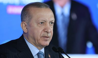 Turkish economy well placed to compete on world stage, Erdoğan says