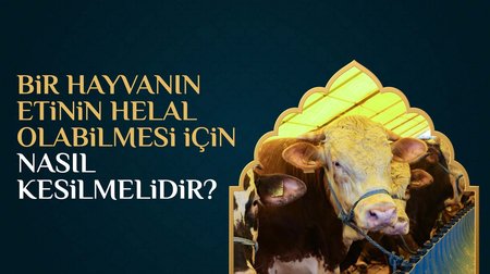 İslami usûllere göre hayvan kesimi nasıl olmalıdır?