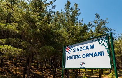 ahrefindexsisecamclasstkktLnktargetblankŞişecamadanYatağanda400dönümlükhatıraormanı