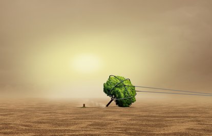 WEFraporuylatescillenengerçekİklimkrizienbüyükküreselrisk