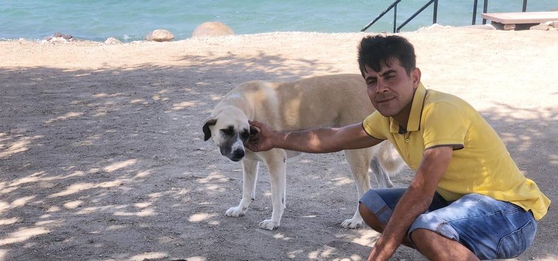 HEROIC DOGS SAVE 74-YEAR-OLD TURKISH MAN FROM DROWNING