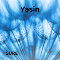 Yasin Suresi Dinle - Arapça Ve Türkçe Okunuşu | Farklı Hocalardan 