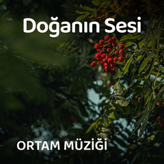 Rahatlatıcı Doğa Sesleri