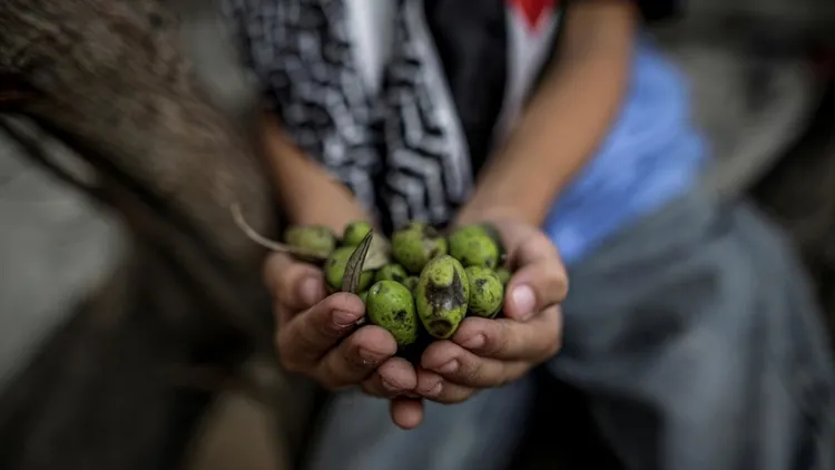 Children keep their traditions alive in Gaza on Palestinian Heritage Day