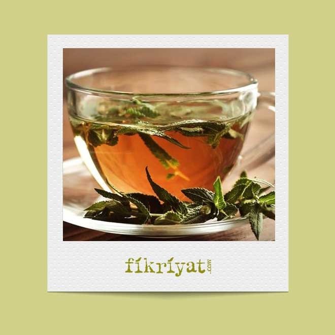 ADA ÇAYI’NIN FAYDALARI