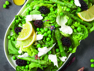 Kuşkonmazlı Karadutlu Mevsim Salata