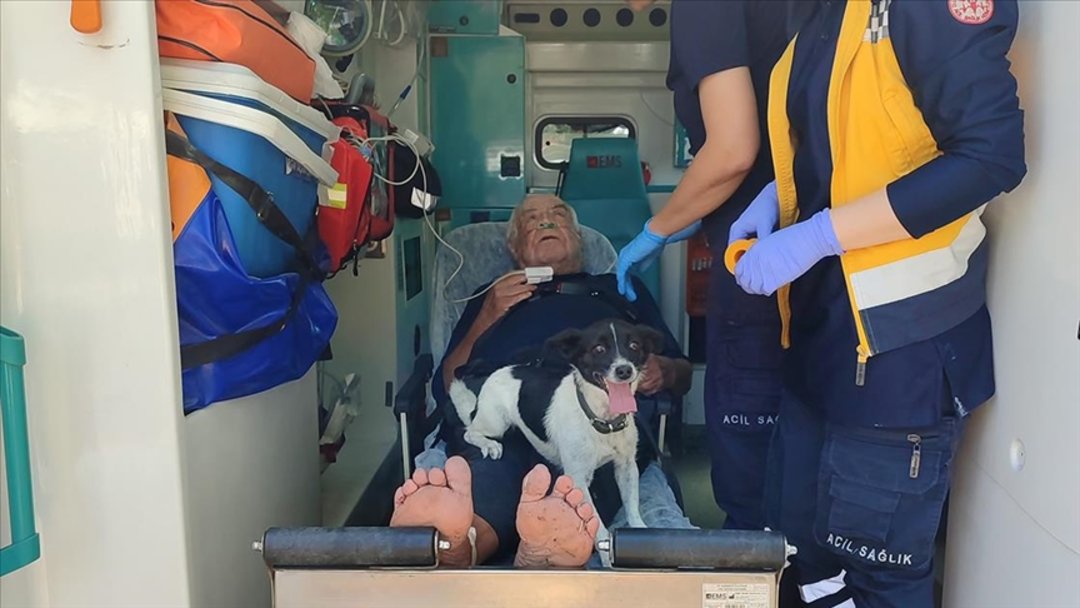 IRMAĞA DÜŞEN YAŞLI ADAMIN KÖPEĞİ BAŞINDAN AYRILMADI