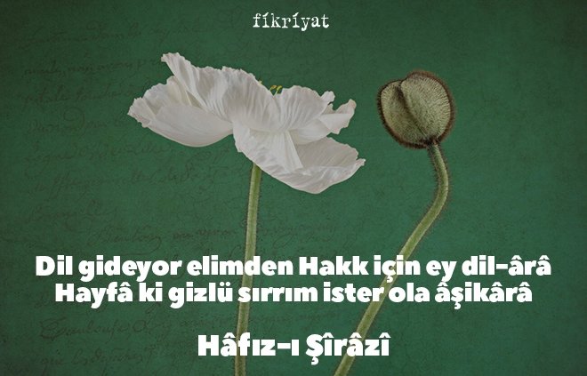 Hafız Divanından Alıntılar