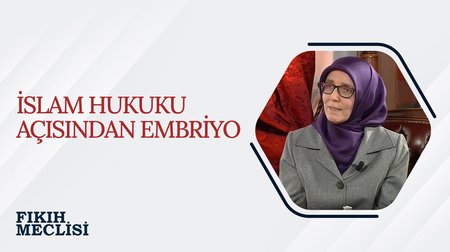 İslam Hukuku Açısından Embriyo Uygulamaları | Fıkıh Meclisi